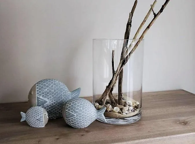 Haus Nr 33, Deichgraf Nyaraló *